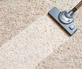 Carpet Cleaning Hilton