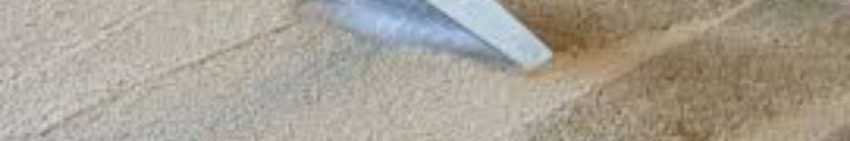 Carpet Cleaning Waikiki Banner