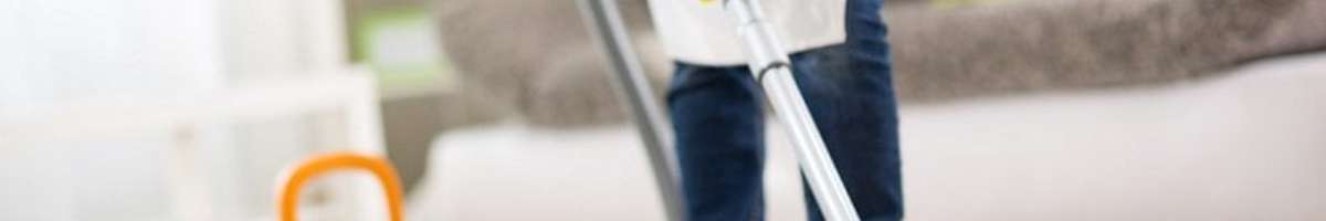 The Vines Carpet Cleaning Banner