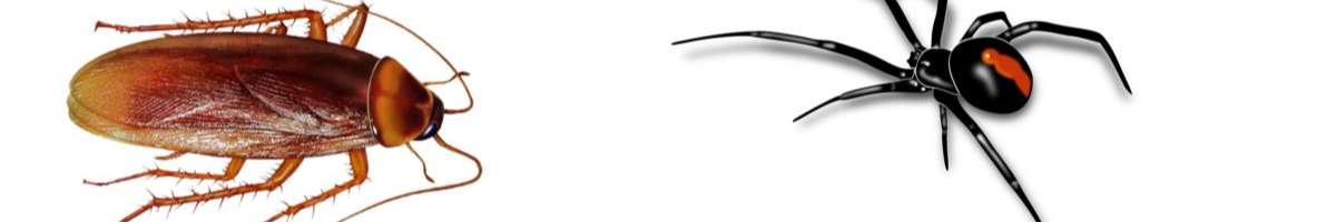 Pest Control Bayswater Banner