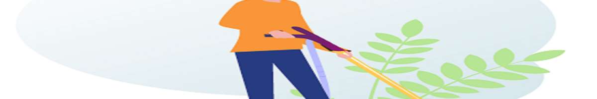 Carpet Cleaning Tranmere Banner