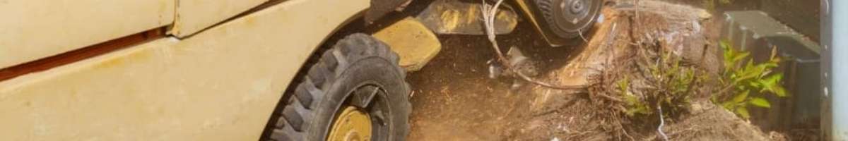 Complete Stump Removals Banner