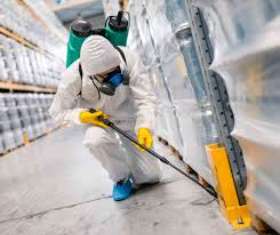 Pest Control Morley