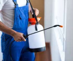 Pest Control Cottesloe