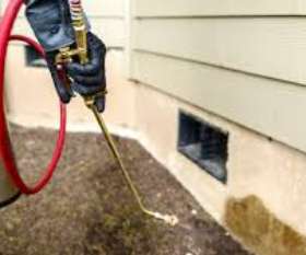 Pest Control Nedlands
