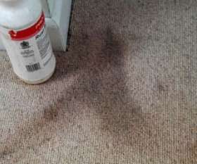 Carpet Cleaning Cranbourne