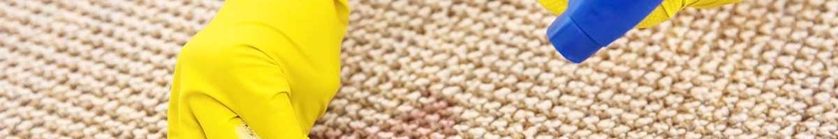 Carpet Cleaning St Kilda Banner