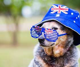 Yonder Australia 