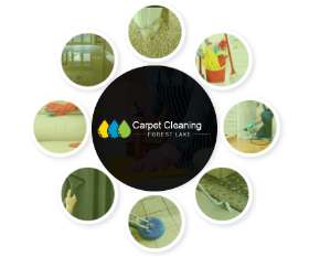 Forest Lake Carpet Cleaning