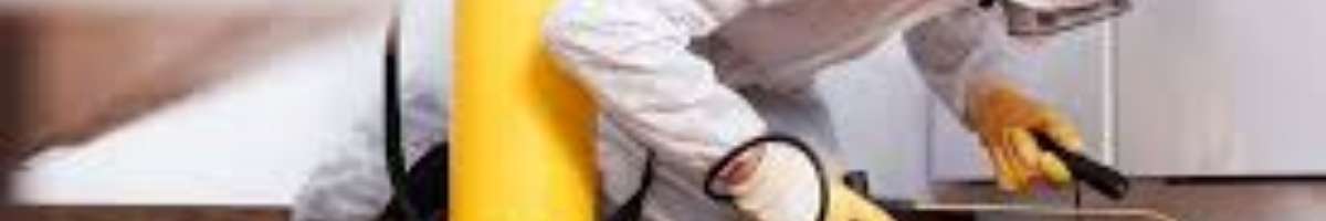 Pest Control South Yarra Banner