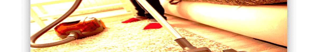 Carpet Cleaning Forestville Banner