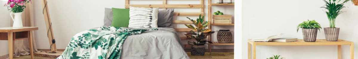 Cairns Floors and More Banner