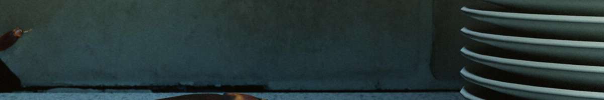 Pest Removal Hobart Banner