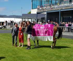 Tasmanian Bloodstock