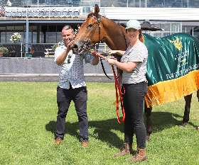 Tasmanian Bloodstock