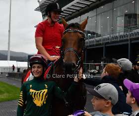 Tasmanian Bloodstock