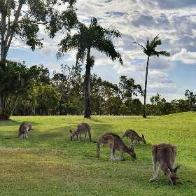 Little Red Road Trip