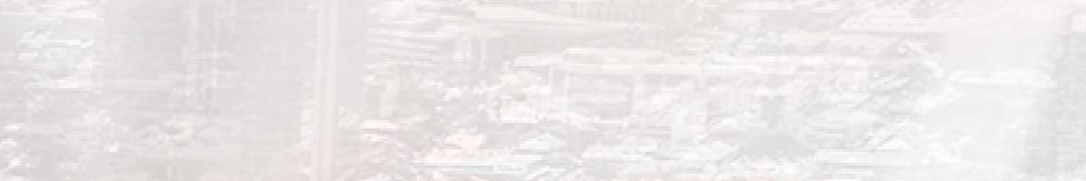 Palladium Financial Group Banner