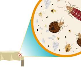 Pest Control Dianella