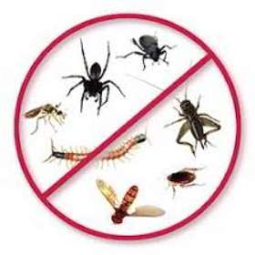 Pest Control Southern River