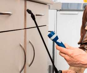 Pest Control Inglewood