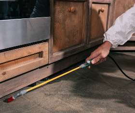 Pest Control Inglewood