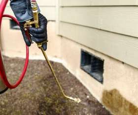 Pest Control West Beach