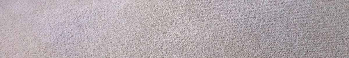 Carpet Cleaning Buderim Banner