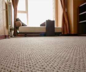 Carpet Cleaning Buderim