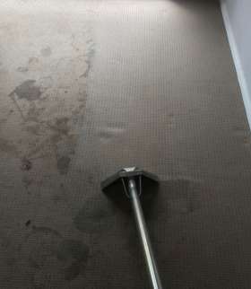 Carpet Cleaning Wynnum West