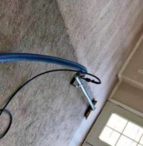 Carpet Cleaning Wynnum West