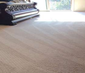 Carpet Cleaning Bayswater