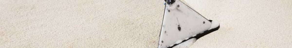 Carpet Cleaning Buderim Banner