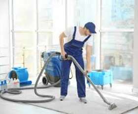 Carpet Cleaning Griffith