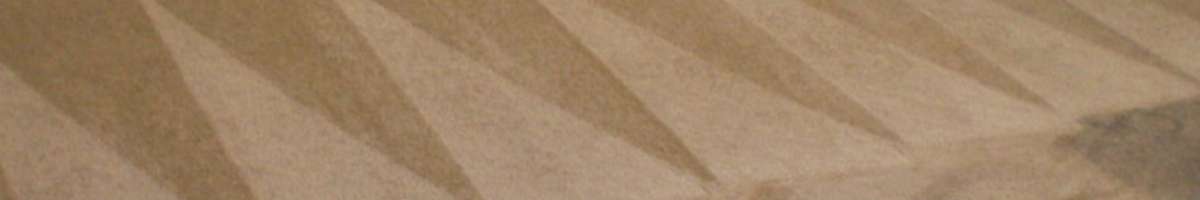 Carpet Cleaning Point Cook Banner
