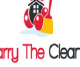 Harrythe Cleaner