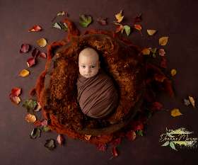 Newborn Photography Service in Narre Warren South