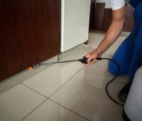 Pest Control Wembley