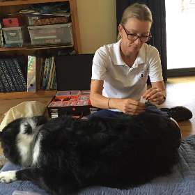 Calming Critters K9 Therapy