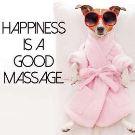 Calming Critters K9 Therapy