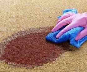 Carpet Cleaning Fremantle