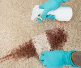 Carpet Cleaning Wynnum
