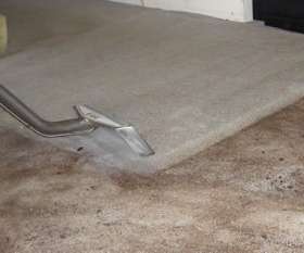 Carpet Cleaning Wynnum