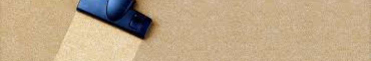 Carpet Cleaning Bondi Banner