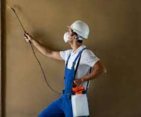 Pest Control Kingston