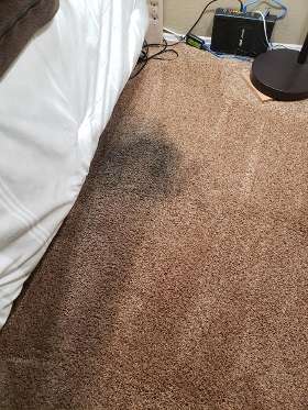 Carpet Cleaning Kingston