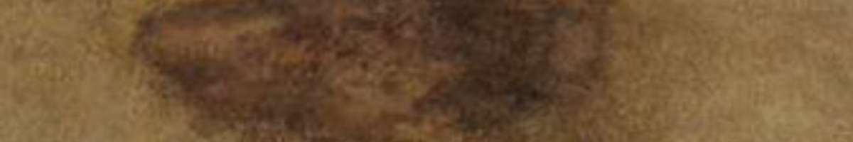 Carpet Cleaning Belconnen Banner