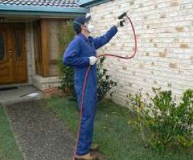 Pest Control Belconnen