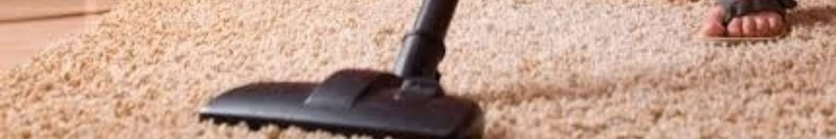 Carpet Cleaning Griffith Banner