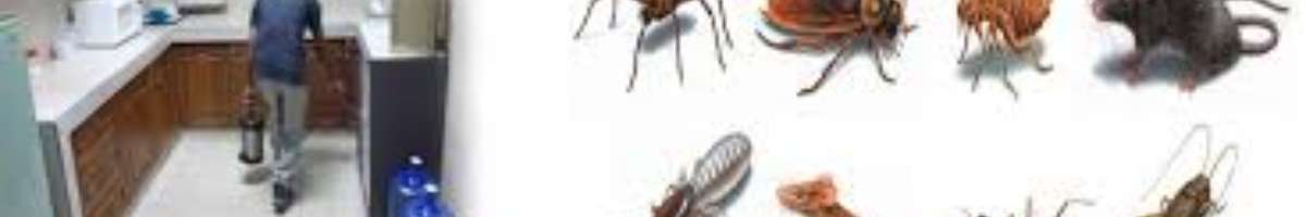 Pest Control Mosman Banner